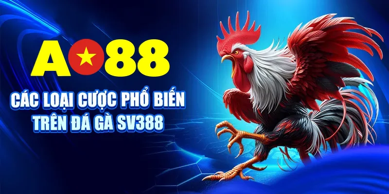 Các loại cược phổ biến trên đá gà SV388