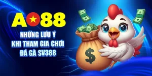 Đá Gà SV388 Chọi Gà Thomo Và Cựa Dao Trực Tuyến Đỉnh Cao